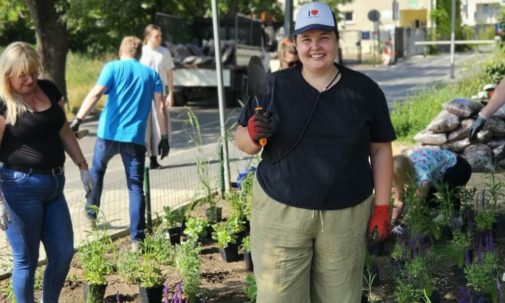 tworzenie nowej rabaty na Jagiellońskiej 47